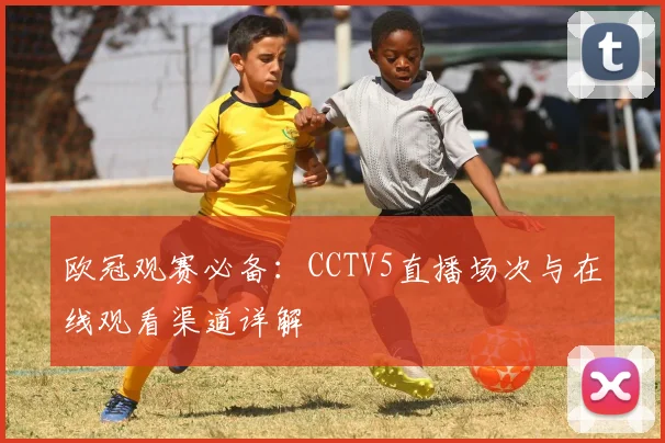 欧冠观赛必备：CCTV5直播场次与在线观看渠道详解